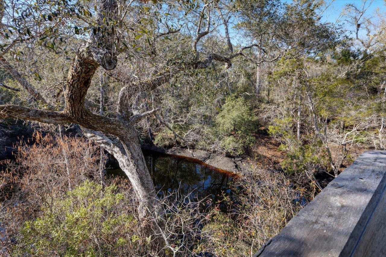 14 Lizard Lane, Sopchoppy, FL 32358 Photo