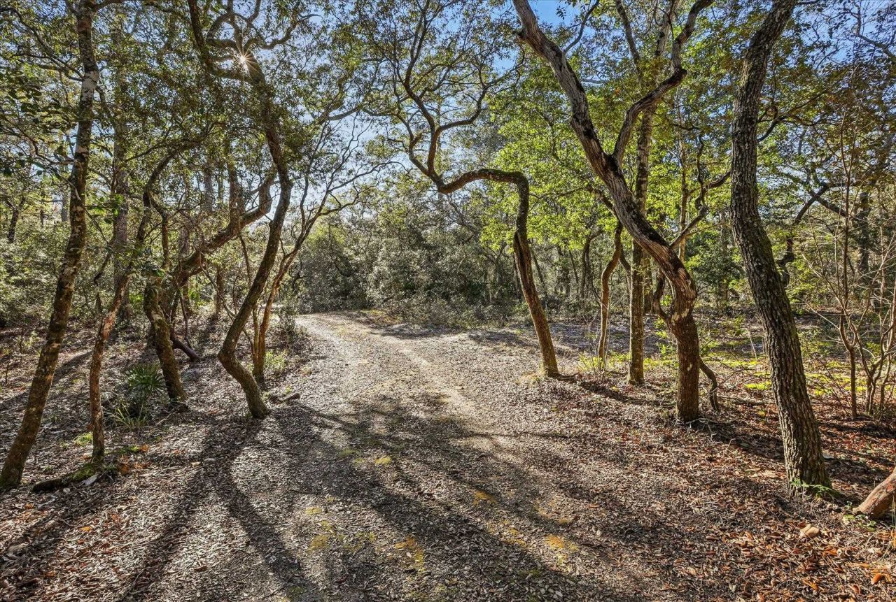 14 Lizard Lane, Sopchoppy, FL 32358 Photo