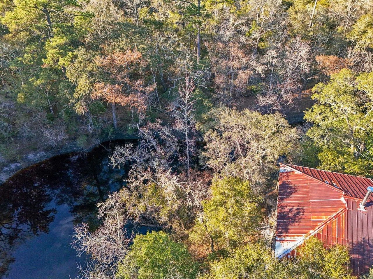 14 Lizard Lane, Sopchoppy, FL 32358 Photo