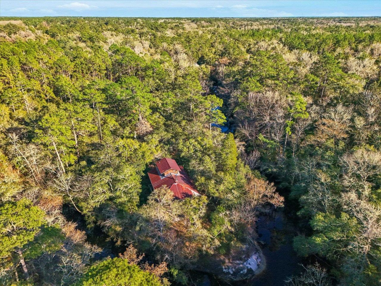 14 Lizard Lane, Sopchoppy, FL 32358 Photo