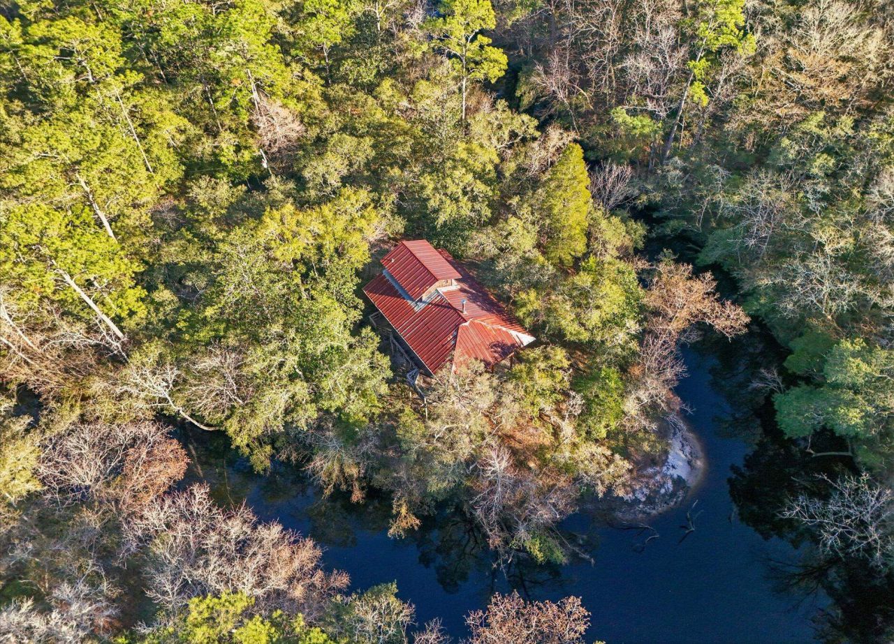 14 Lizard Lane, Sopchoppy, FL 32358 Photo