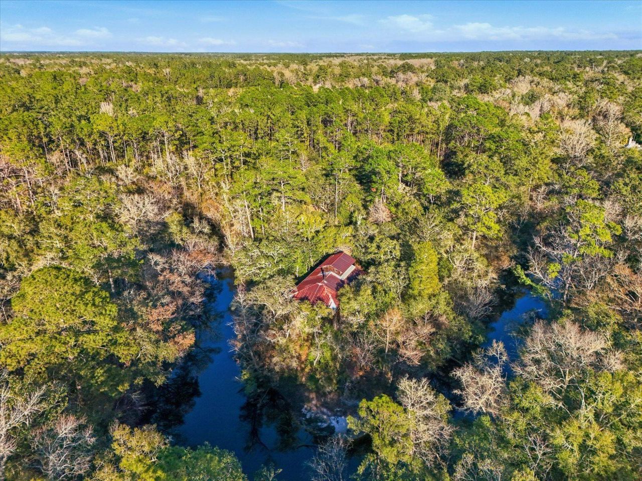 14 Lizard Lane, Sopchoppy, FL 32358 Photo