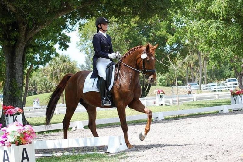 13747 Staimford Drive, Wellington, FL 33414 Photo