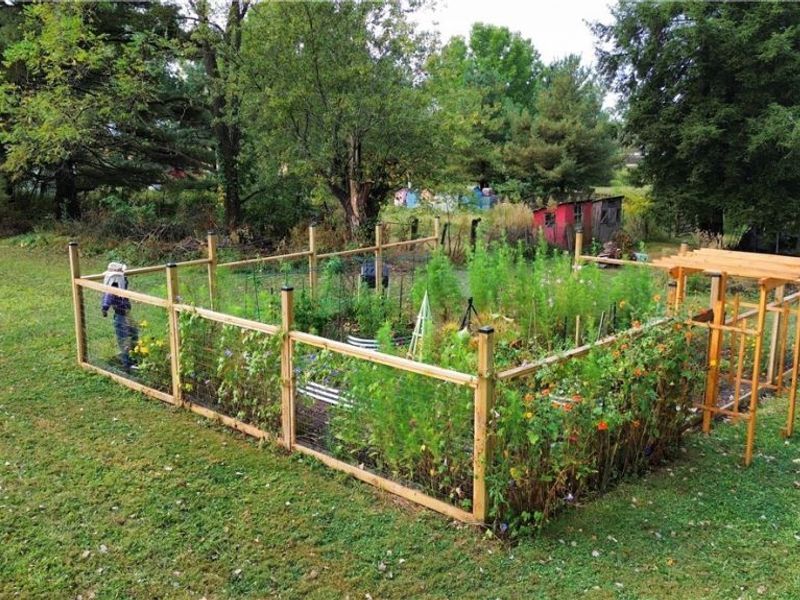 6350 Highton Street SW, Navarre, OH 44662 Photo 25