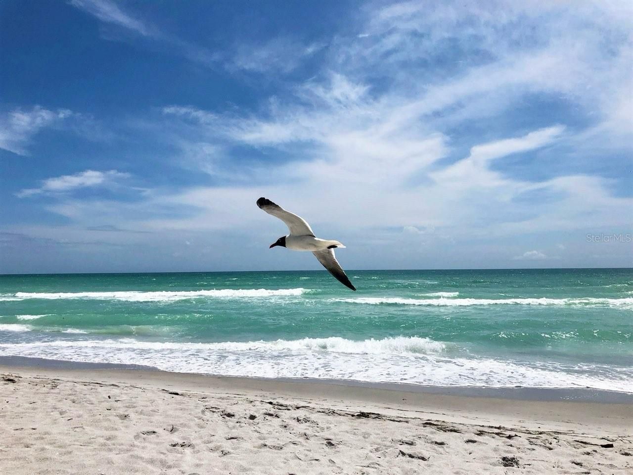 4310 Falmouth Drive, Unit 102, Longboat Key, FL 34228 Photo