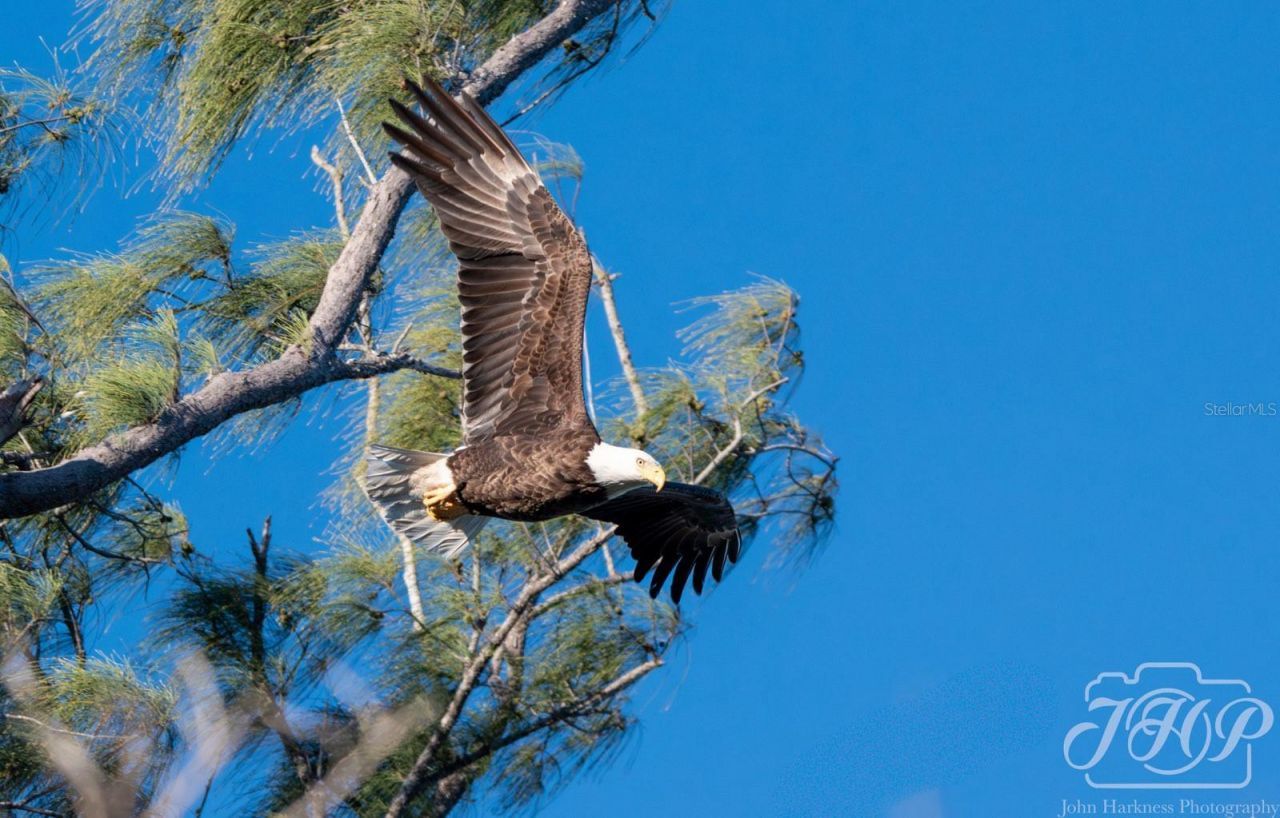 4310 Falmouth Drive, Unit 102, Longboat Key, FL 34228 Photo