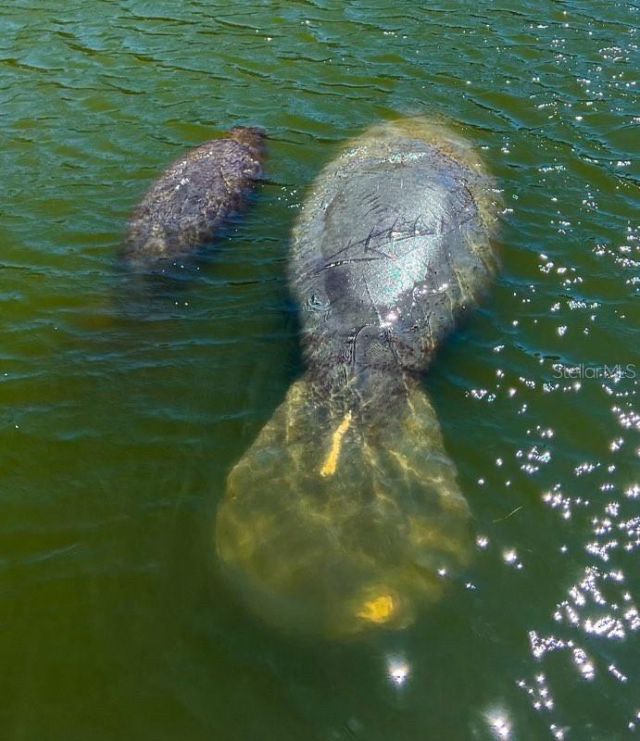 4310 Falmouth Drive, Unit 102, Longboat Key, FL 34228 Photo