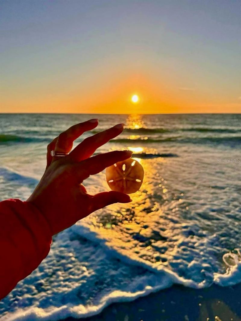 4310 Falmouth Drive, Unit 102, Longboat Key, FL 34228 Photo