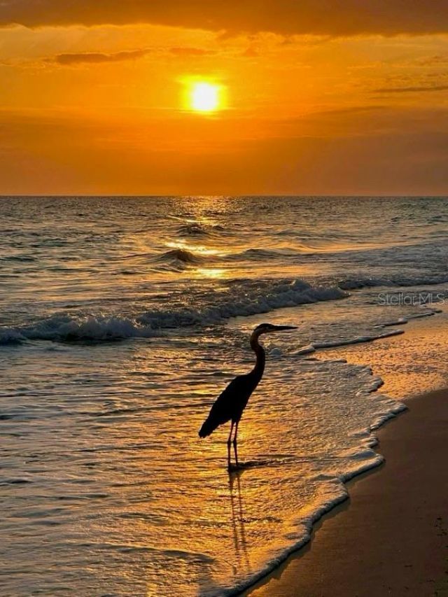 4310 Falmouth Drive, Unit 102, Longboat Key, FL 34228 Photo