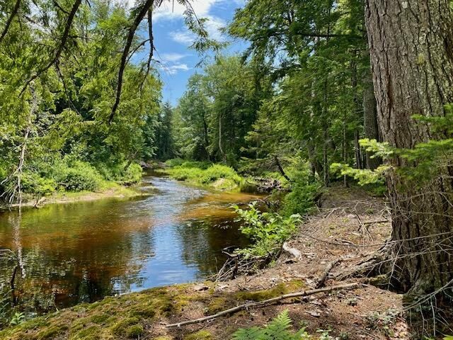 00 Pratt Road, Parsonsfield, ME 04047 Main Photo