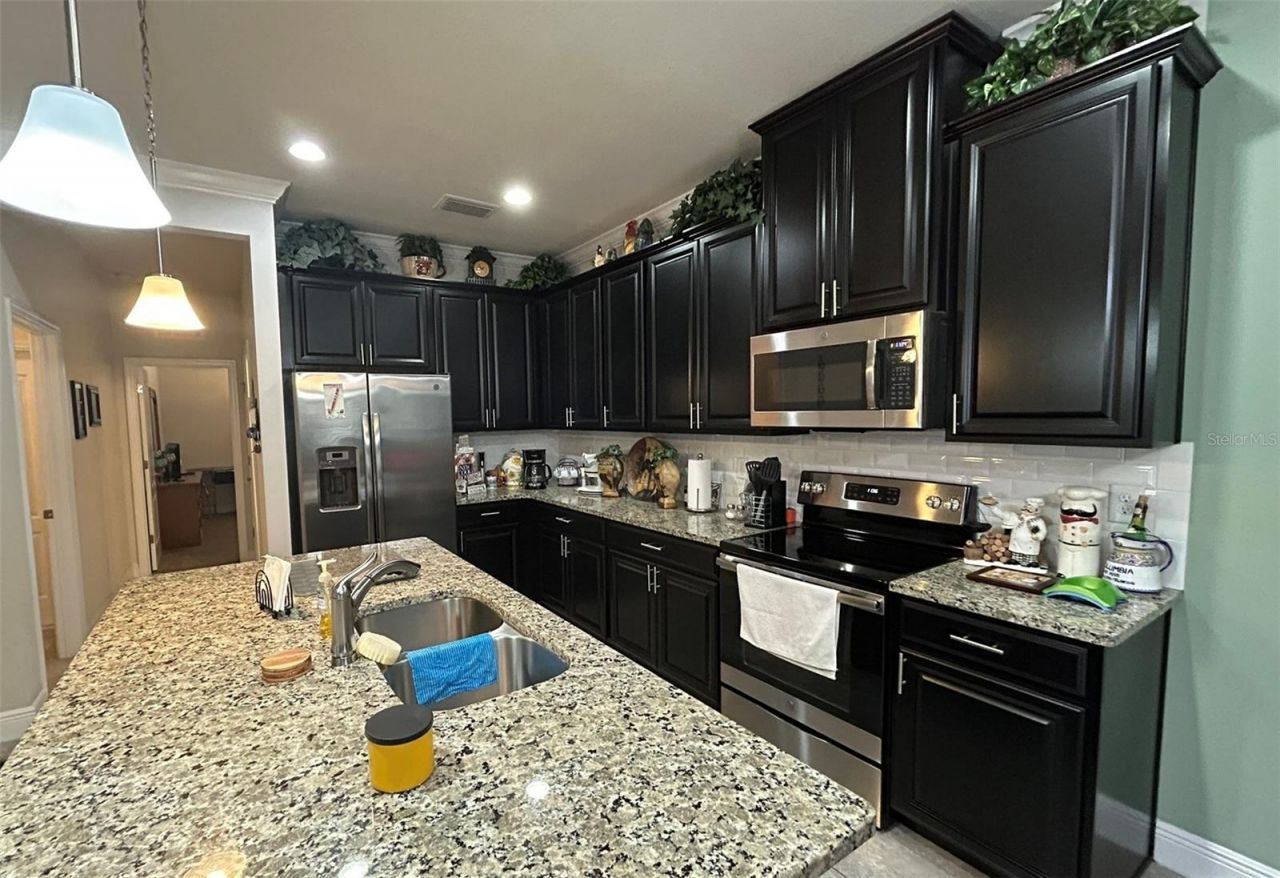 10647 Heron Hideaway Loop, Land O Lakes, FL 34638 Photo