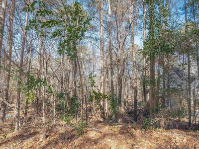 220 Waterville Drive, Columbia, SC 29229