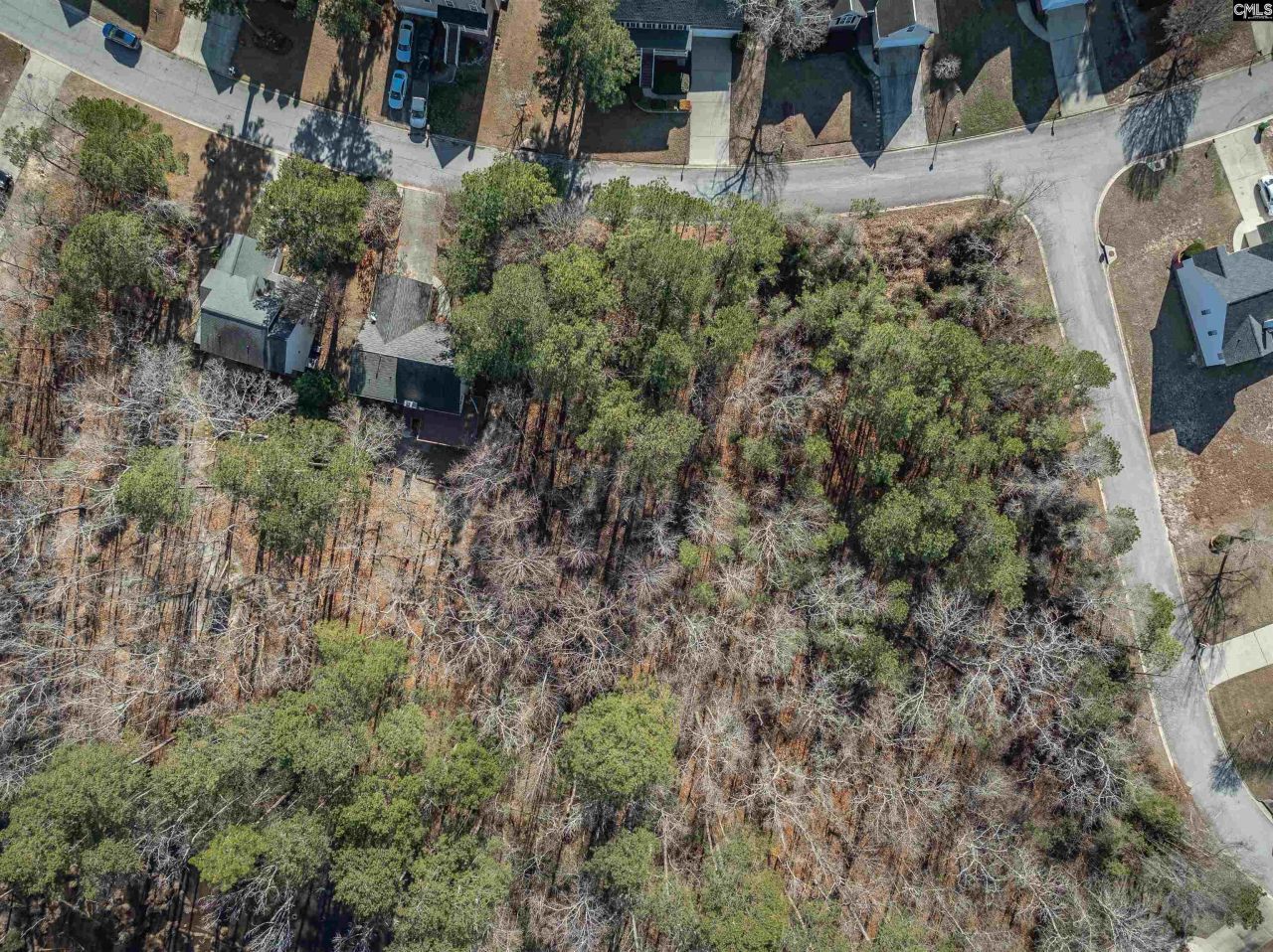 220 Waterville Drive  Photo 18