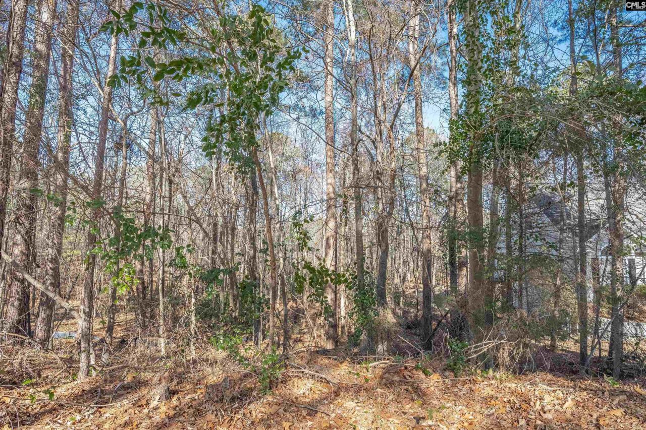 220 Waterville Drive  Photo 23