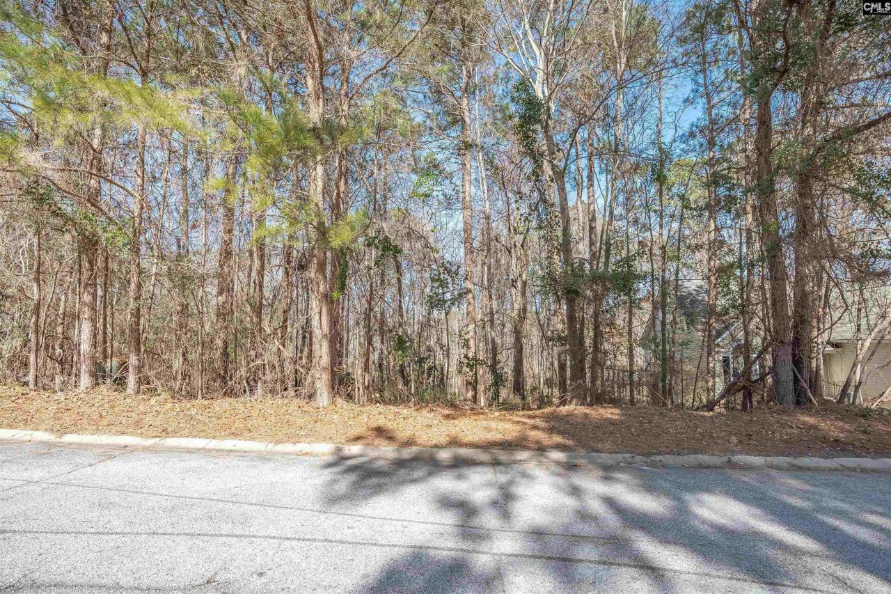 220 Waterville Drive Photo 23