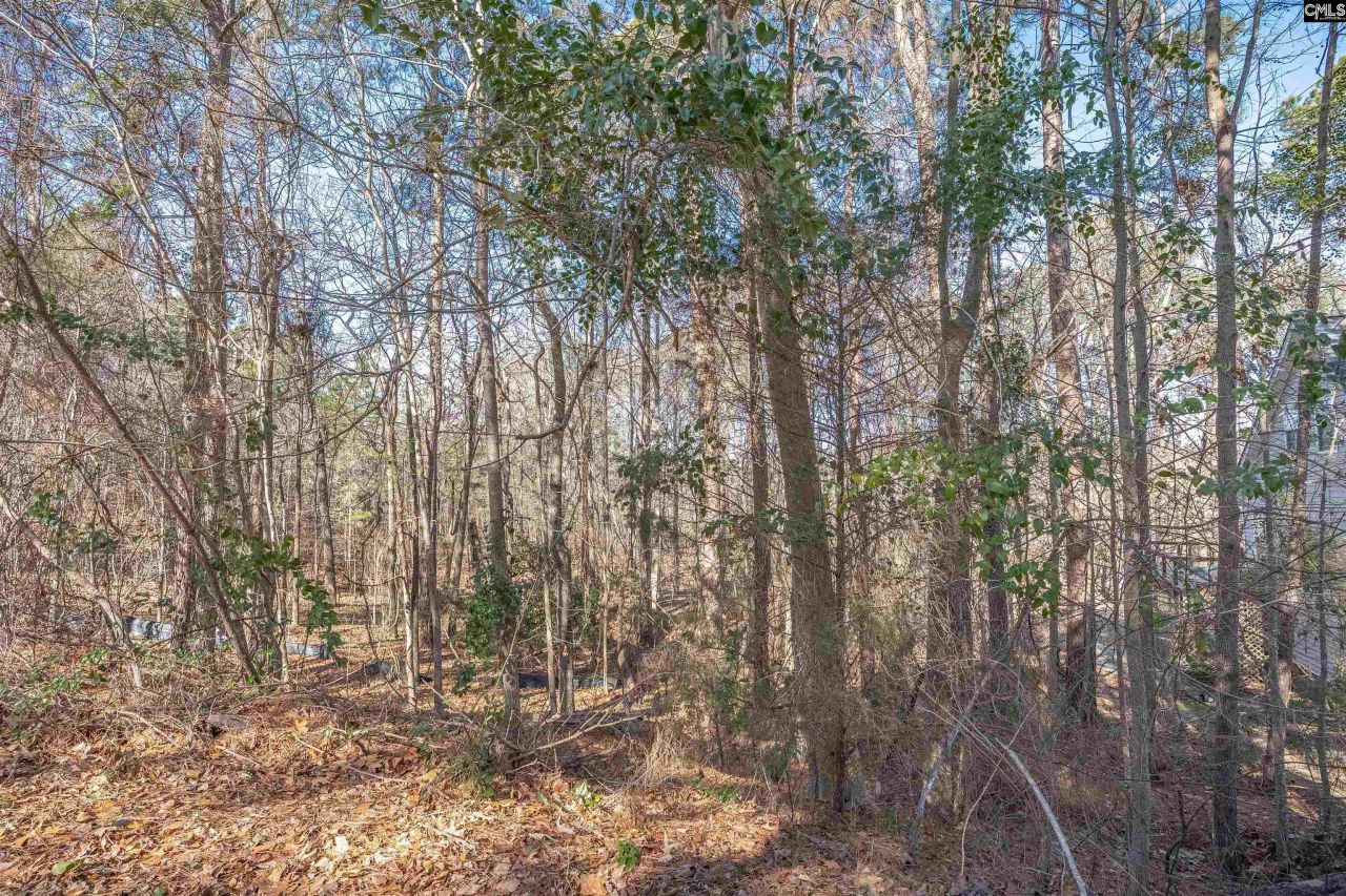 220 Waterville Drive Photo 24