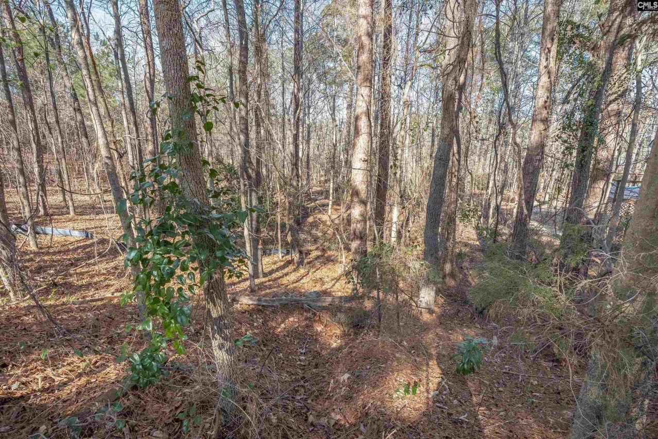 220 Waterville Drive Photo 25