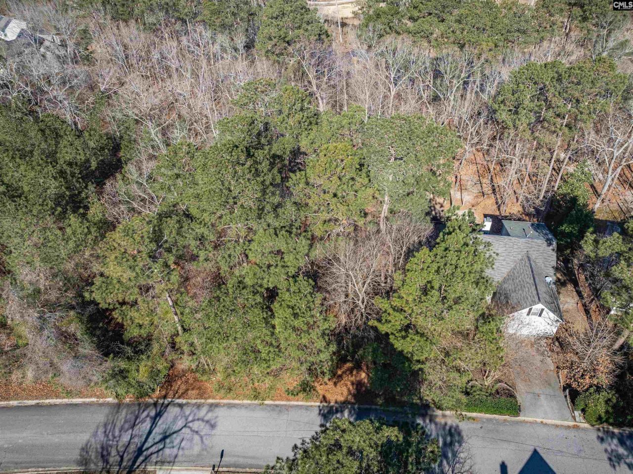 220 Waterville Drive Photo 4