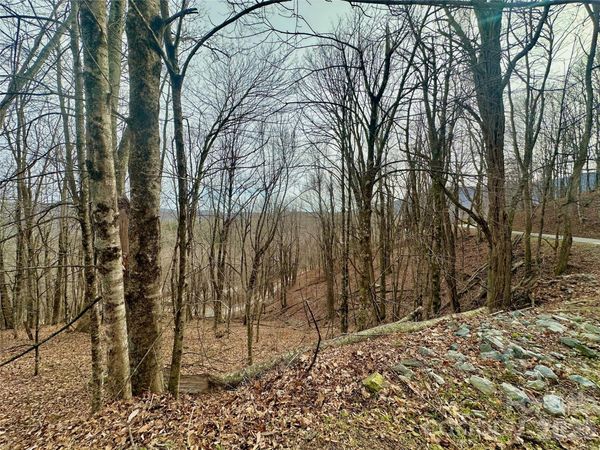 TBD Alpine Drive , Seven Devils, NC 28604