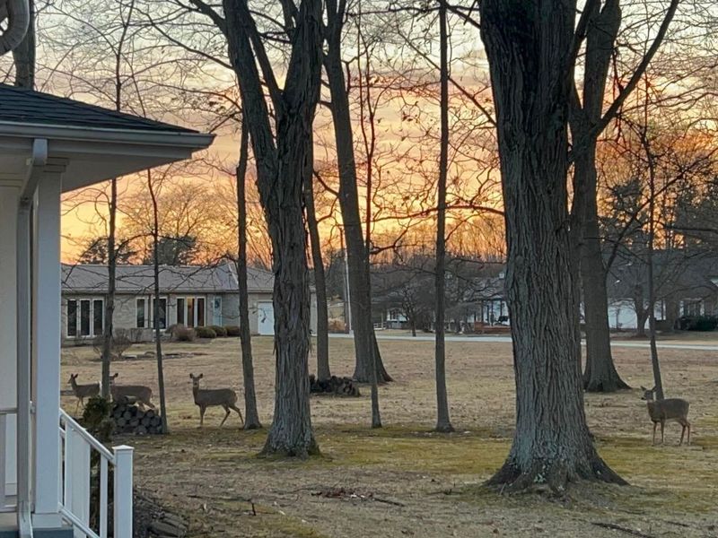 6781 Thoreau Lane NE, Baltimore, OH 43105 Photo 8