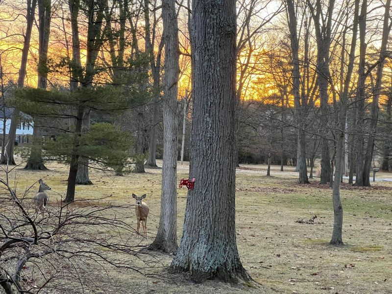 6781 Thoreau Lane NE, Baltimore, OH 43105 Photo 9