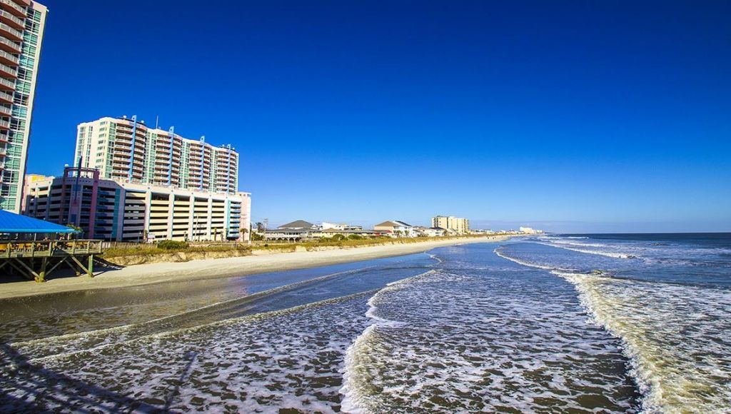 3040 Berry Bush Way Photo 8