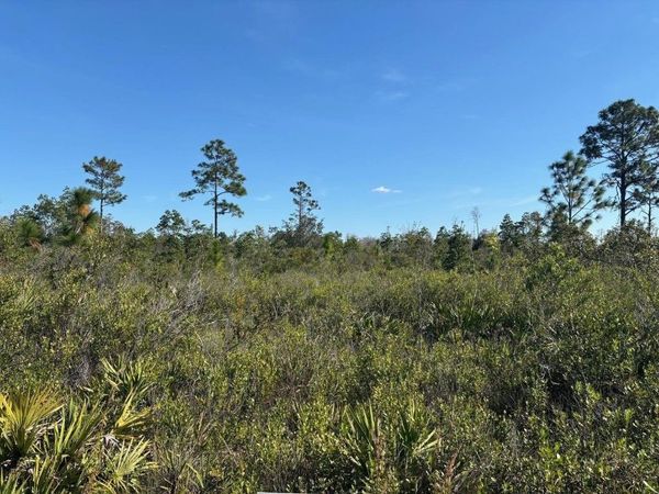 0 HOLOPAW GROVES RD, St. Cloud, FL 34772