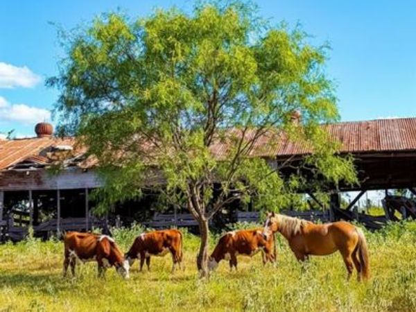 101 County Road 101, Marlin, TX 76661