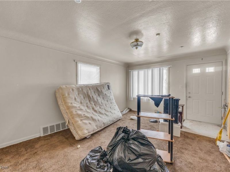 11909 Avon Avenue, Cleveland, OH 44105 Photo 3