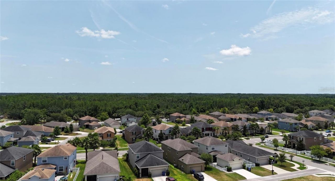 8922 Little Bluestem Drive, Land O Lakes, FL 34637 Photo