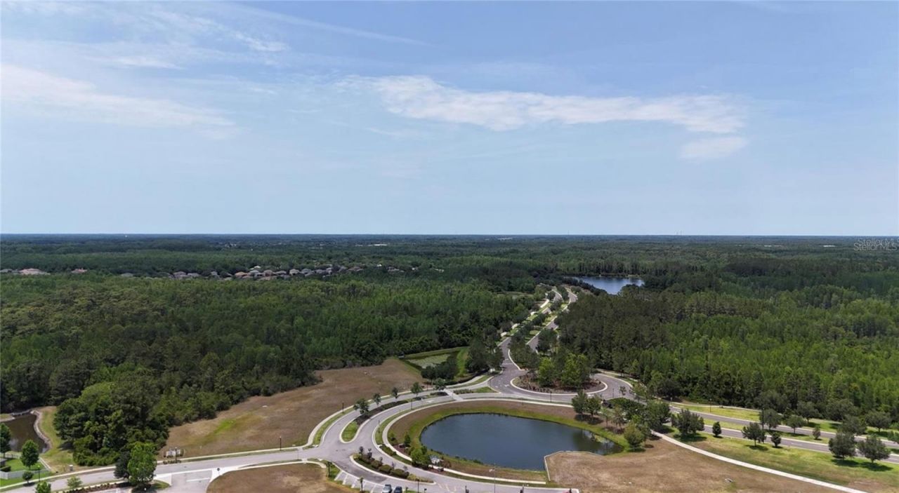 8922 Little Bluestem Drive, Land O Lakes, FL 34637 Photo