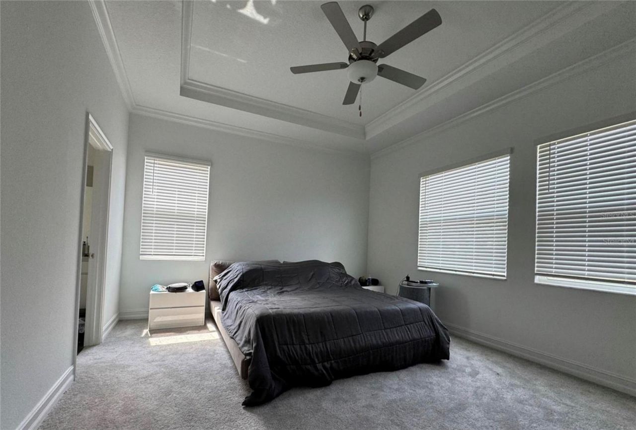 8922 Little Bluestem Drive, Land O Lakes, FL 34637 Photo