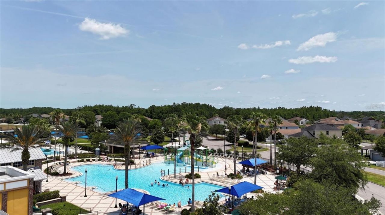 8922 Little Bluestem Drive, Land O Lakes, FL 34637 Photo