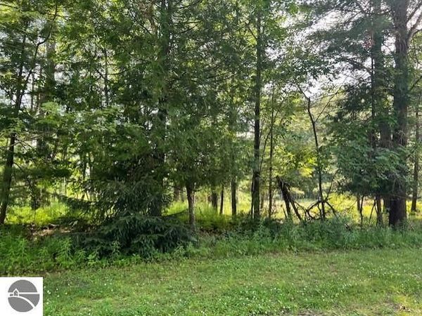 Ninth Avenue, Tawas City, MI 48763