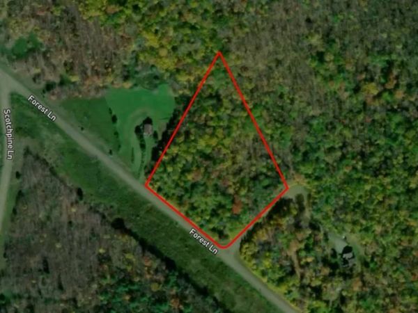 Lot 20 Forest Lane, Andes, NY 13731