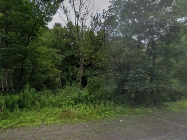 Lot 17 Grange Hall Road, Franklin, NY 13820