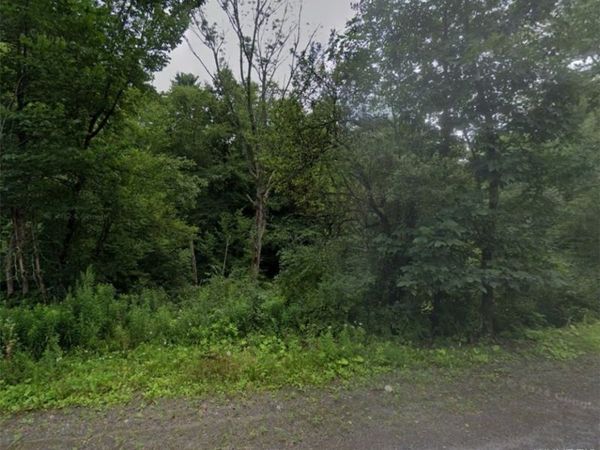 Lot 17 Grange Hall Road, Franklin, NY 13820