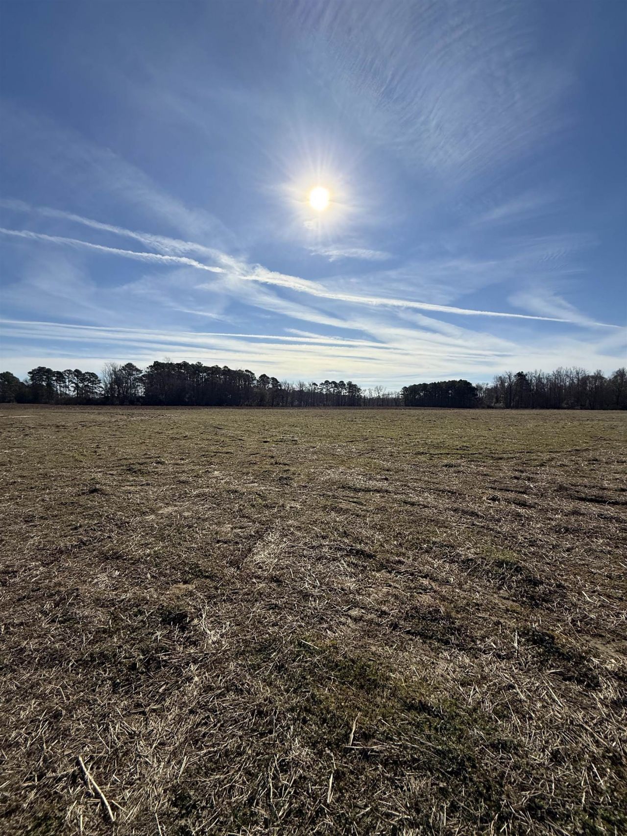 Tract 2 Highway 668 Photo 6