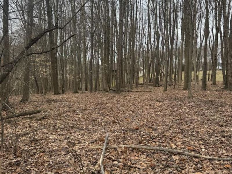 0 Crossbridge Court , Lexington, OH 44904 Photo 18