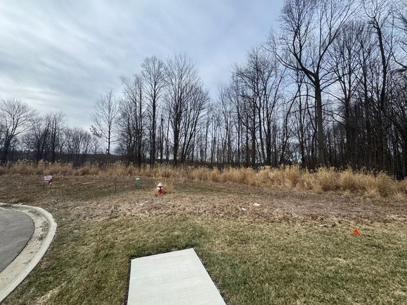 0 Crossbridge Court , Lexington, OH 44904 Photo 19