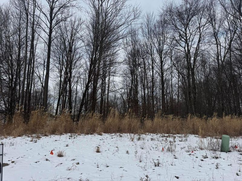 0 Crossbridge Court , Lexington, OH 44904 Photo 4