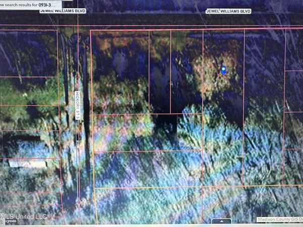 0 Jewell Williams Boulevard, Canton, MS 39046