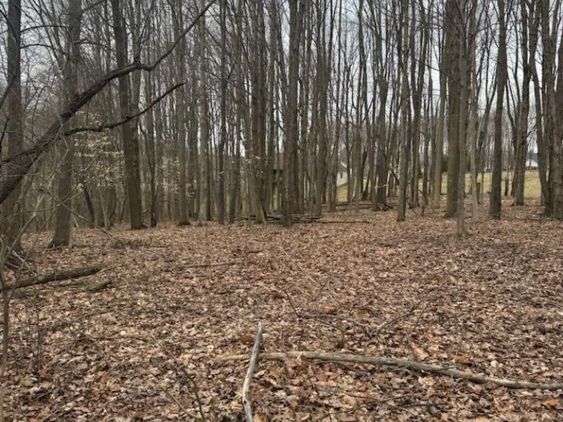 0 Crossbridge Court, Lexington, OH 44904 Photo 17