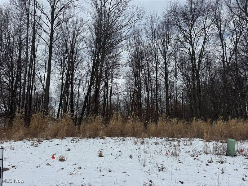 0 Crossbridge Court, Lexington, OH 44904 Photo 4