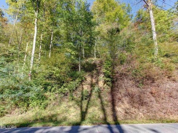 947 Powdermill Rd, Gatlinburg, TN 37738