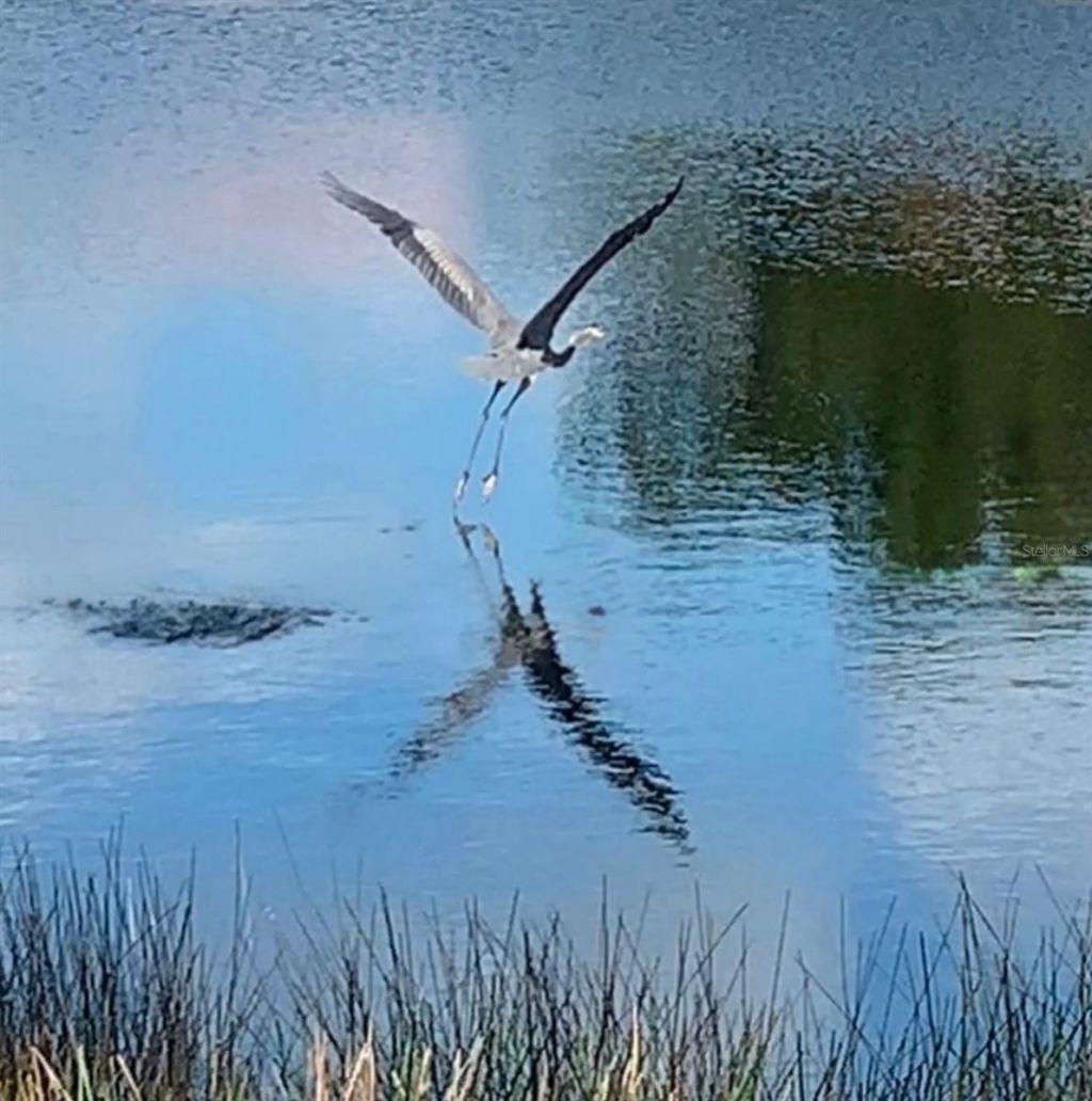 4925 Pepperwood Place, Venice, FL 34293 Photo