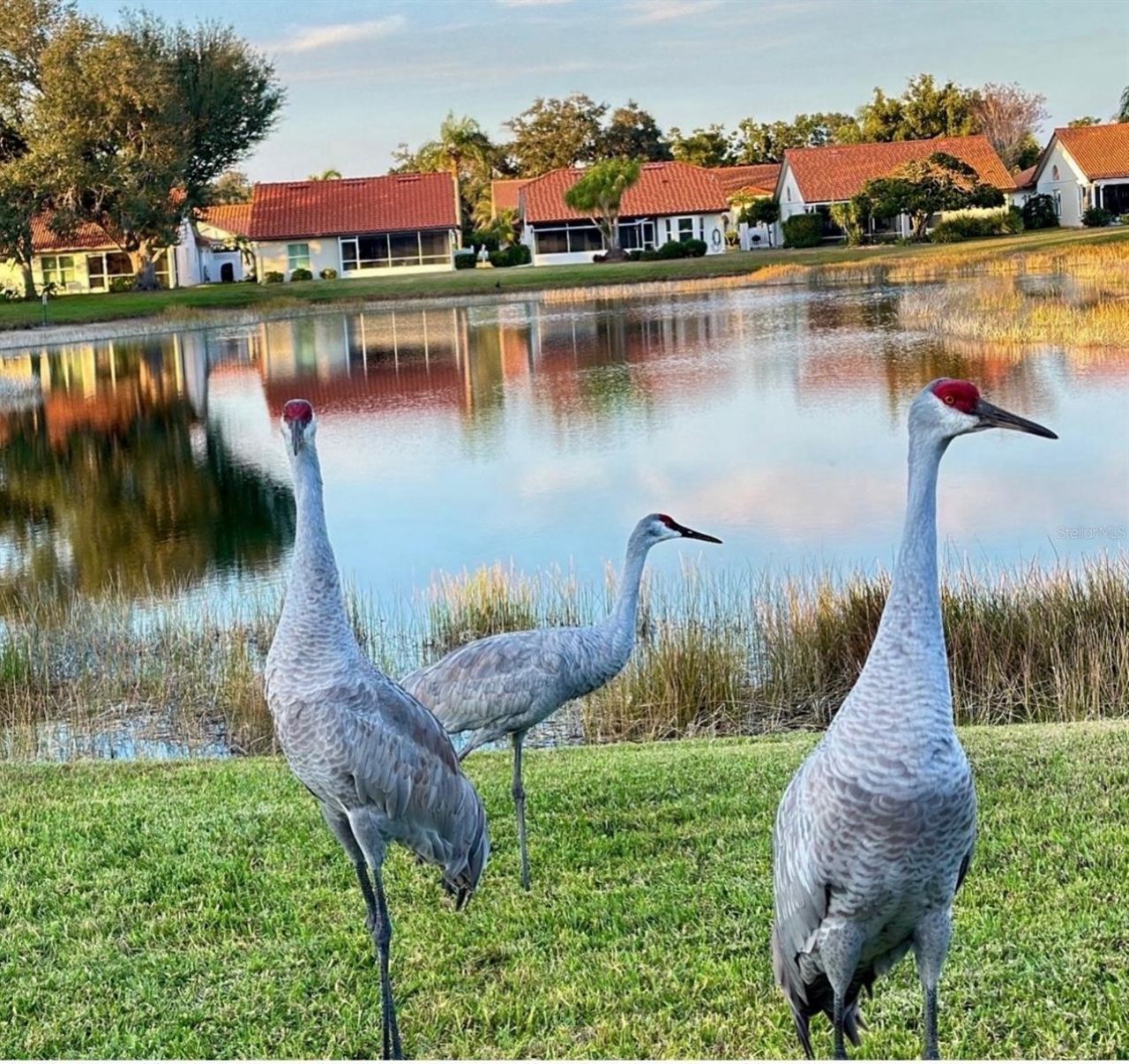 4925 Pepperwood Place, Venice, FL 34293 Photo