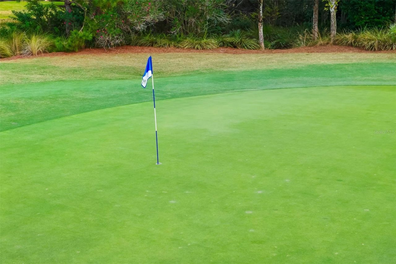 12729 Del Corso Loop, Bradenton, FL 34211 Photo