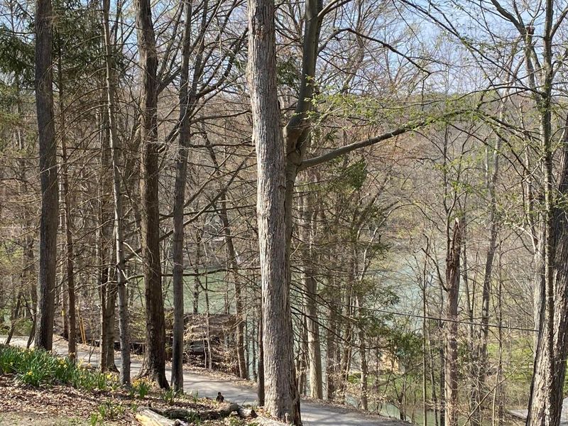 505 Natchez Lane, Sugar Grove, OH 43155 Photo 38