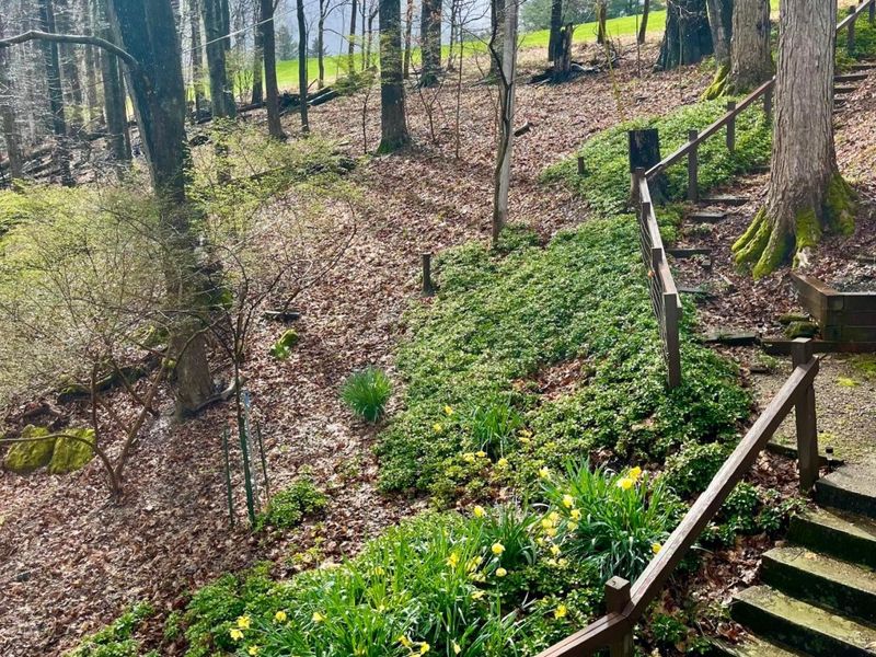 505 Natchez Lane, Sugar Grove, OH 43155 Photo 40